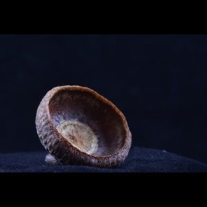 Meet your Posher, Tim